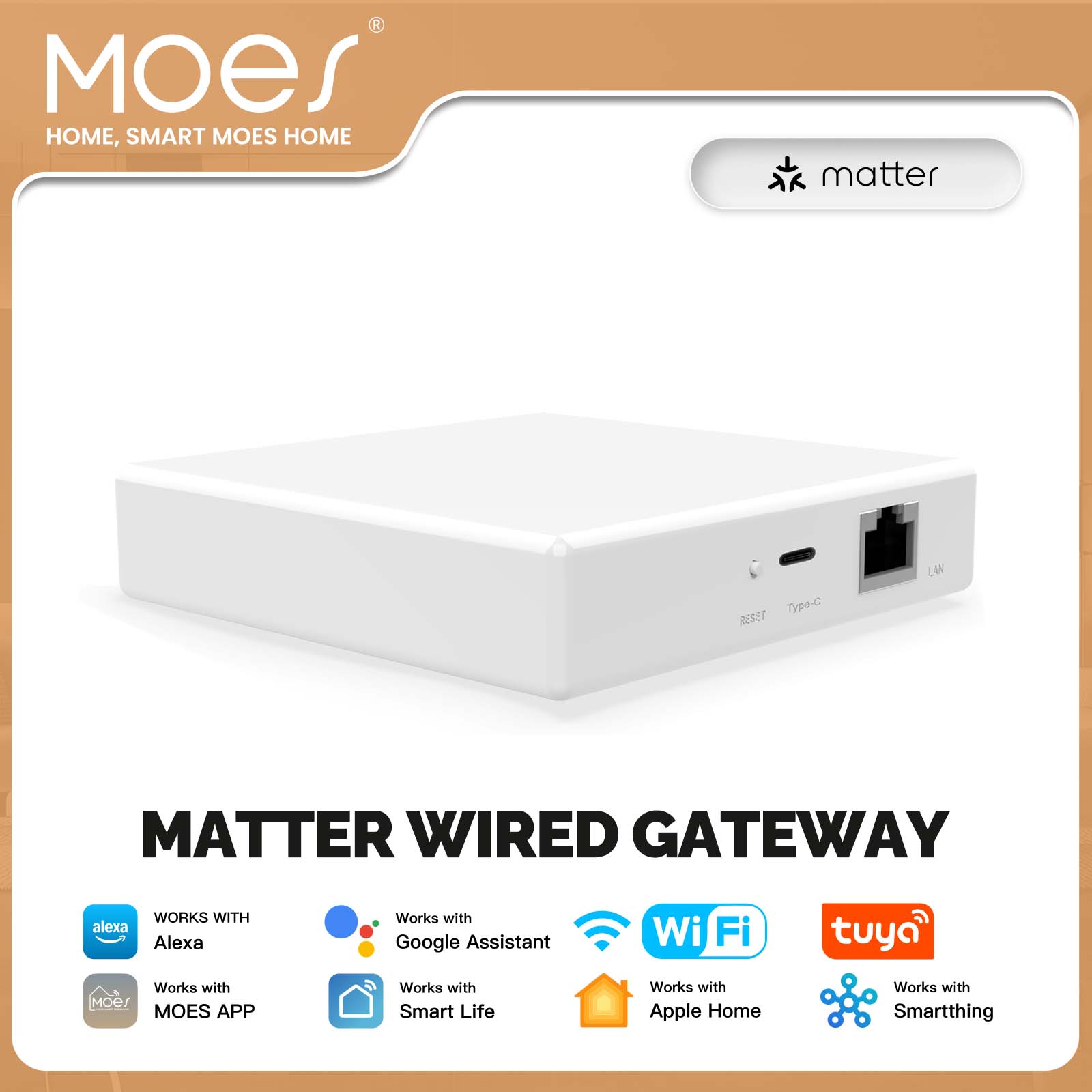 Smart Home Voice Assistant - MOES 투야 지그비 매터 스레드 게이트웨이
