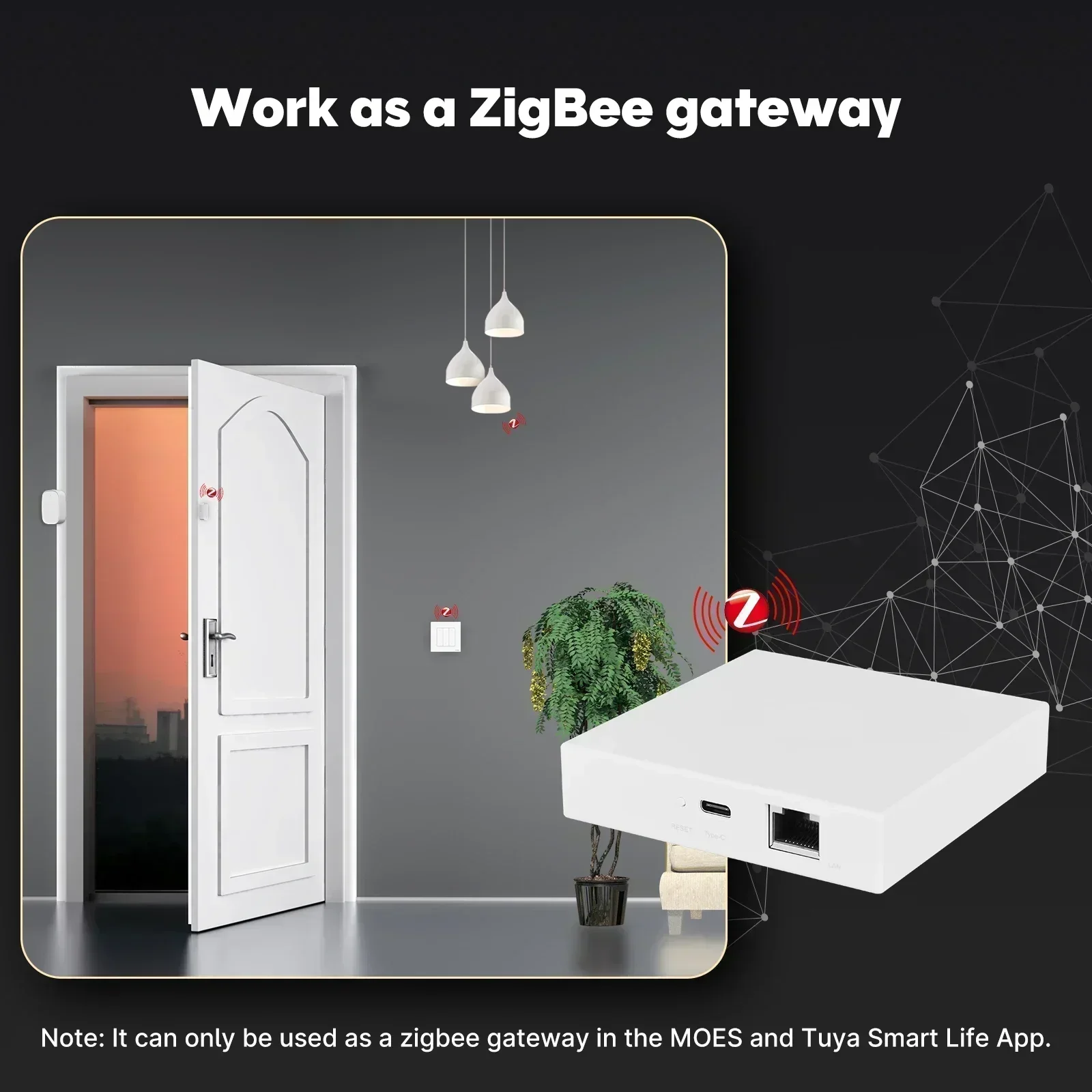 MOES Tuya Zigbee Matter 스레드 게이 - Smart Home Voice Assistant 리뷰 및 가격