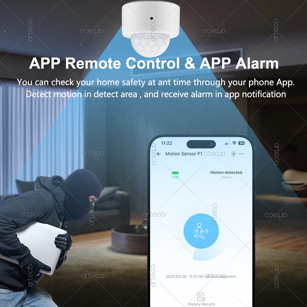 Ewelink Zigbee PIR 모션 센서 인체 운동 - Smart Home Security 리뷰 및 가격