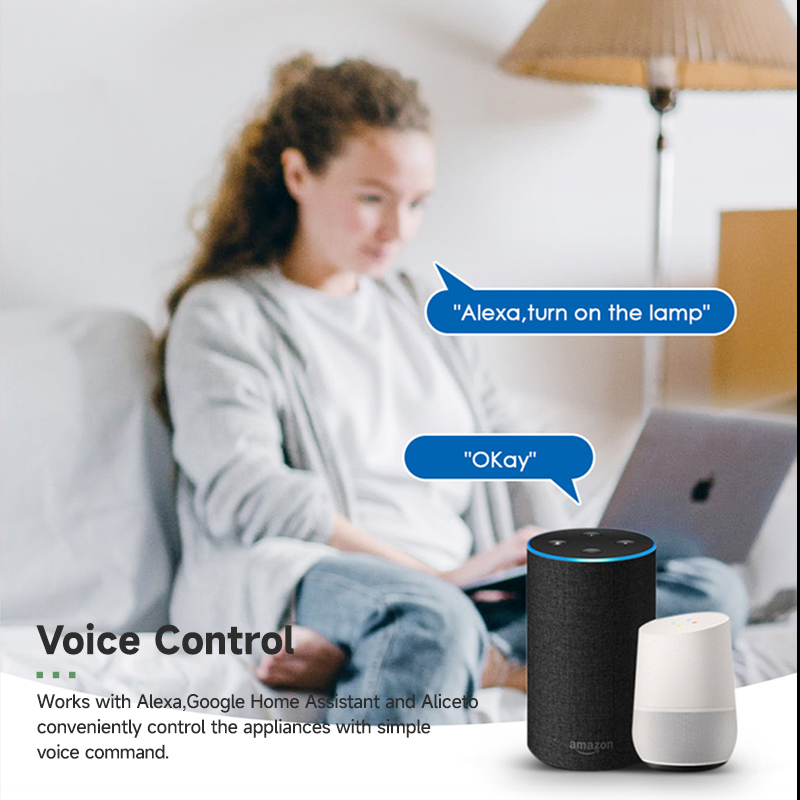 Tuya 스마트 WiFi 스위치 모듈 16A 2방향 제 - Tuya Wifi Socket 리뷰 및 가격