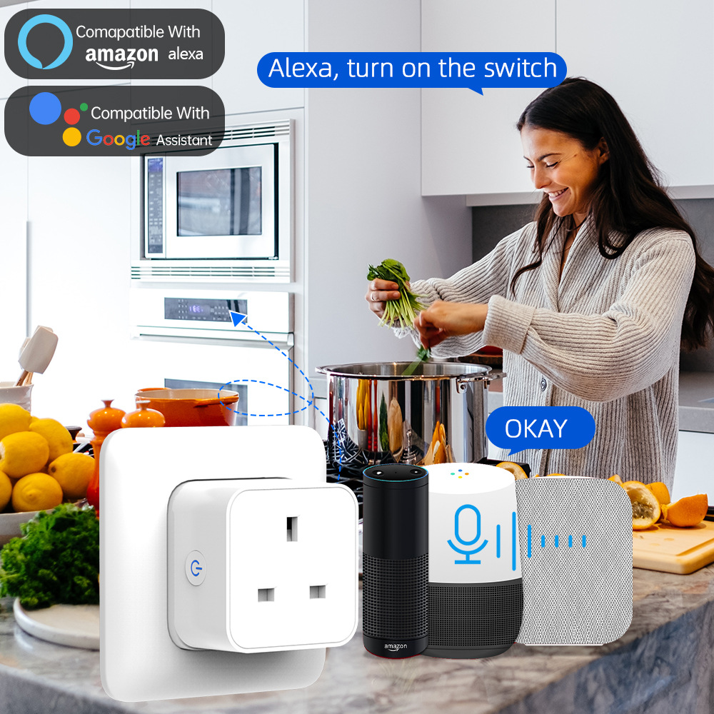 Tuya 스마트 소켓 16A/20A WiFi 또는 Zi - Tuya Wifi Socket 리뷰 및 가격