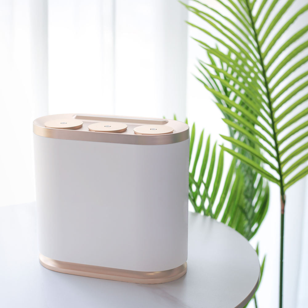 맞춤형 개인 브랜드 향기 마케팅 홈 향기 CE 대용량  - Smart Home Market 리뷰 및 가격