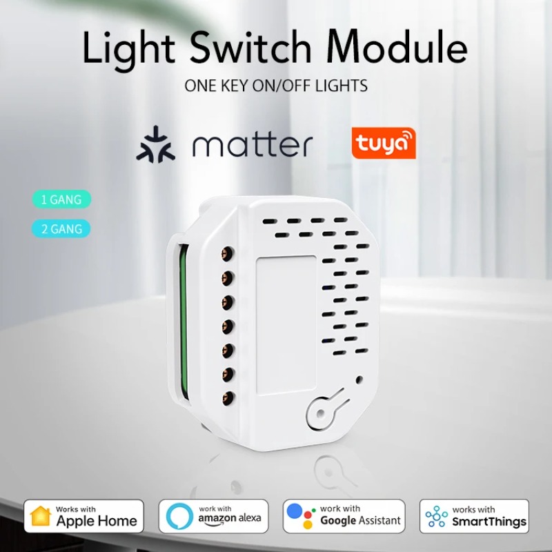 Matter 라이트 스위치 모듈 2Gang Relay  - Smart Home Matter 리뷰 및 가격